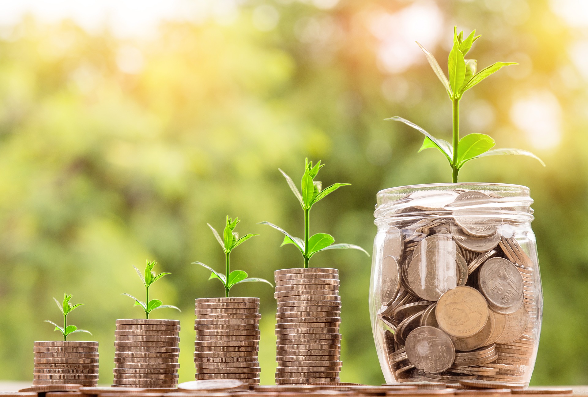 Saplings growing on top of coins, money increasing as the plant grows