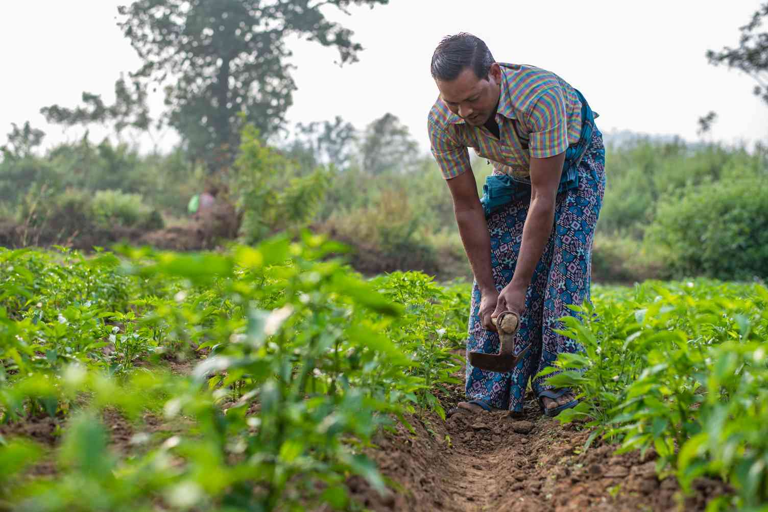 A new paradigm for rural livelihoods India Development Review