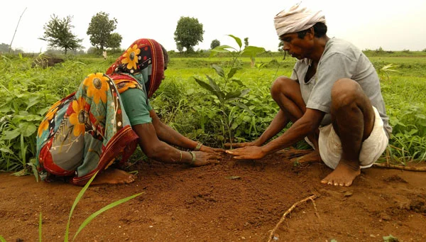 farmer couple tending to their field_BRLF