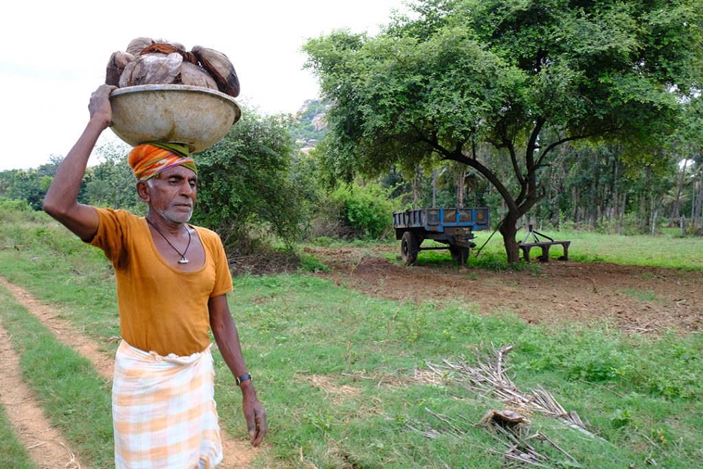 Farmer carrying a load in Karnataka_Native Picture