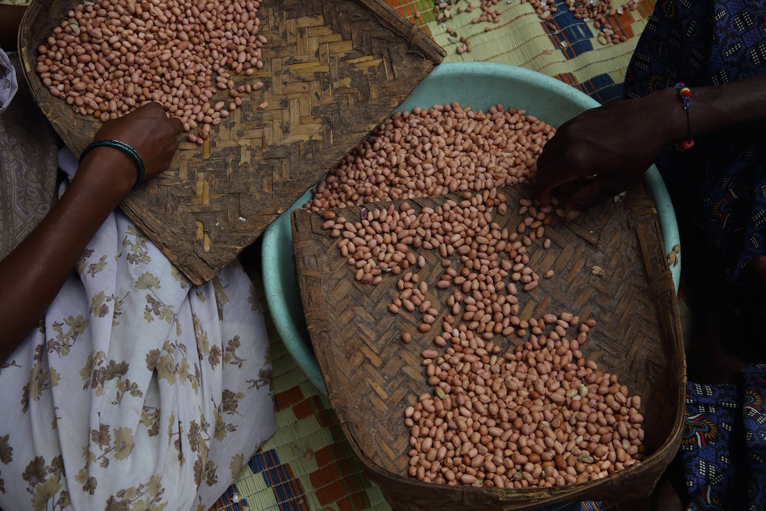 Indian women sorting peanuts
