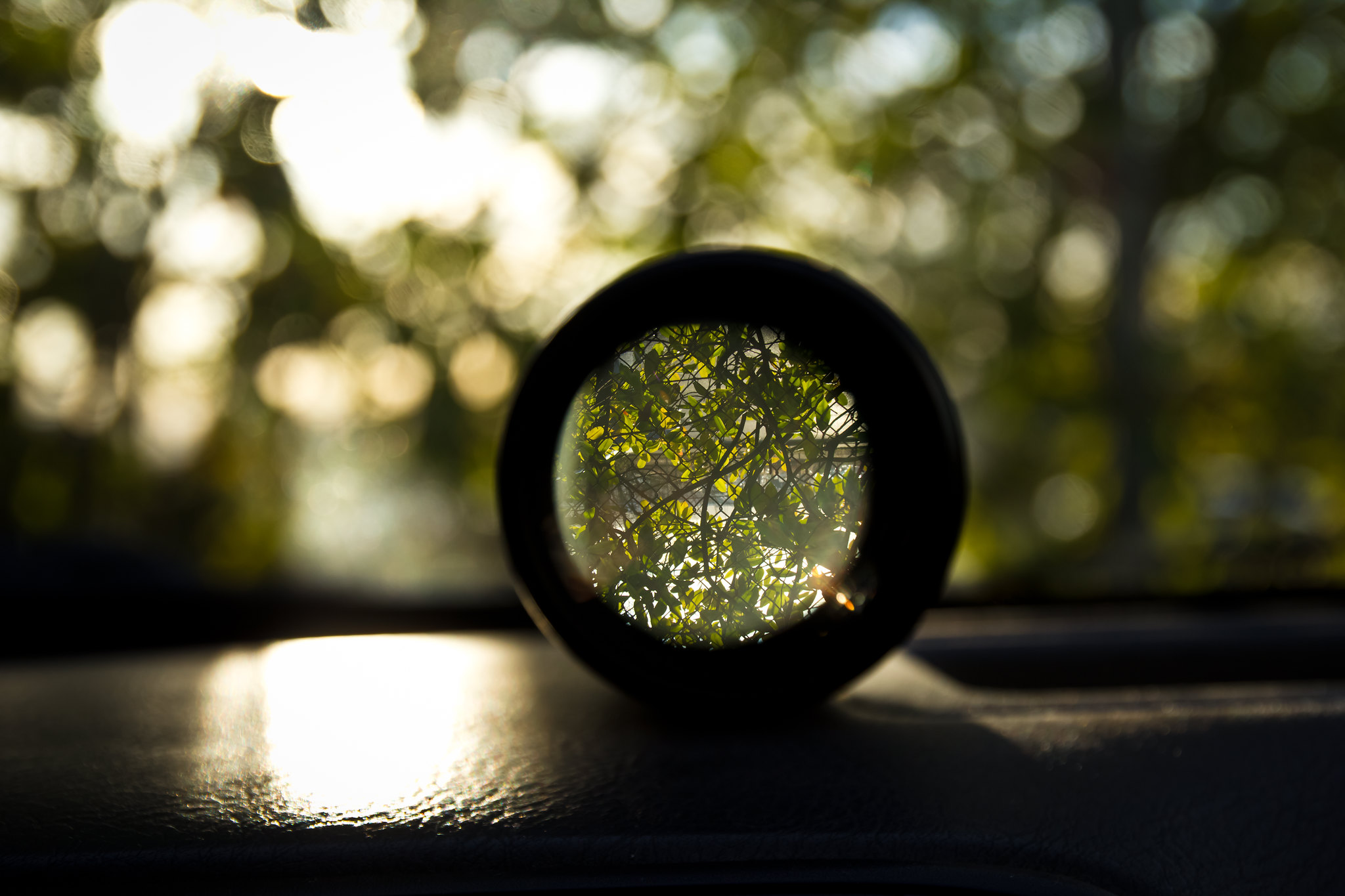 looking through a lens trees