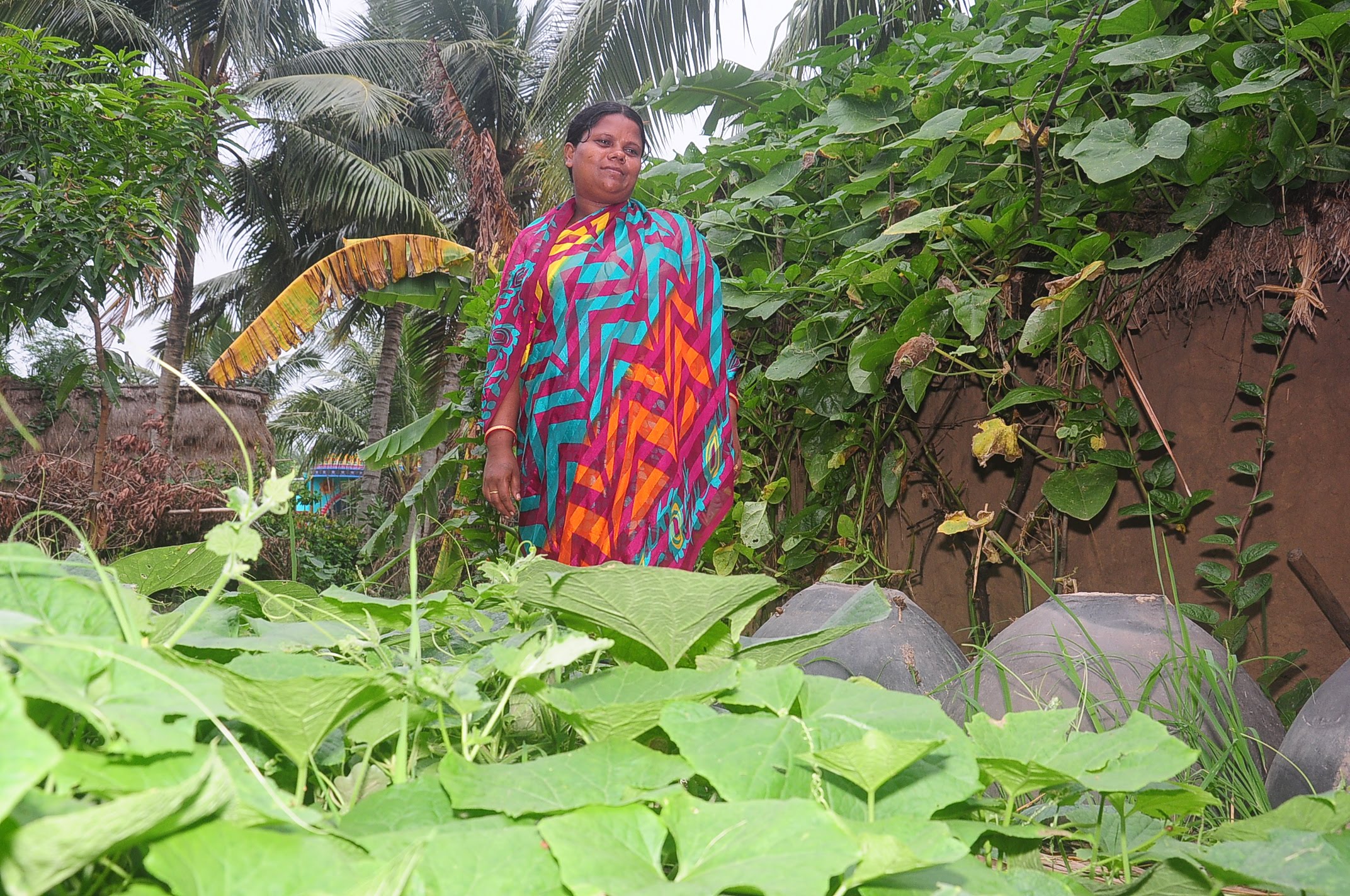 Pratima Senapati stands amongst the crops she has planted.
