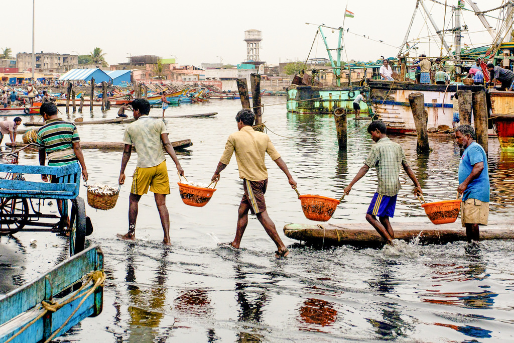 Fishermen working in unison