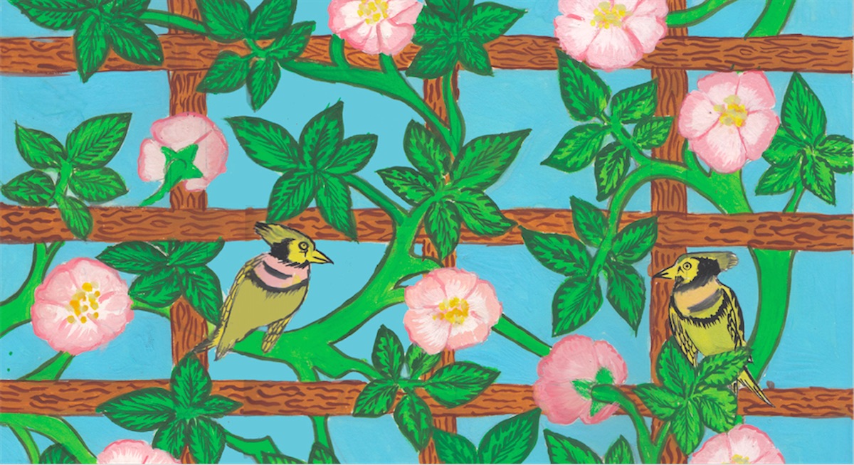 Trellis and birds drawing-Aseema