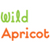 Wild Apricot-Image