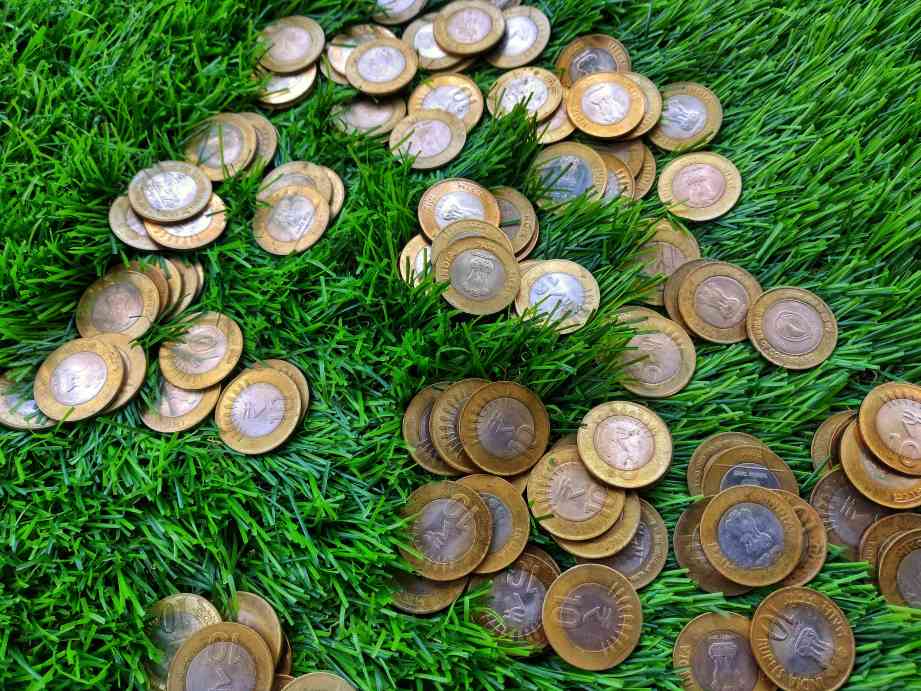 ten rupee coins on grass-climate finance