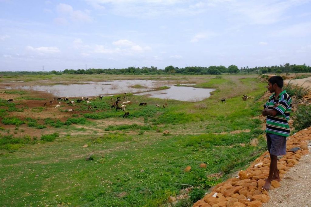 Man looking at dried up lake