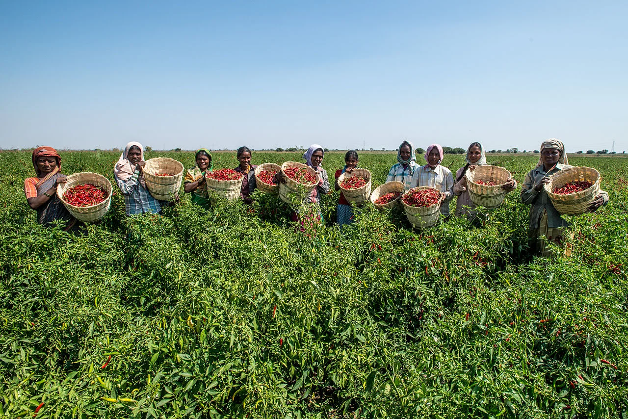 Women farmers in Karnataka