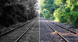 Train tacks with trees, with half the image in black and white and the other half in colour.