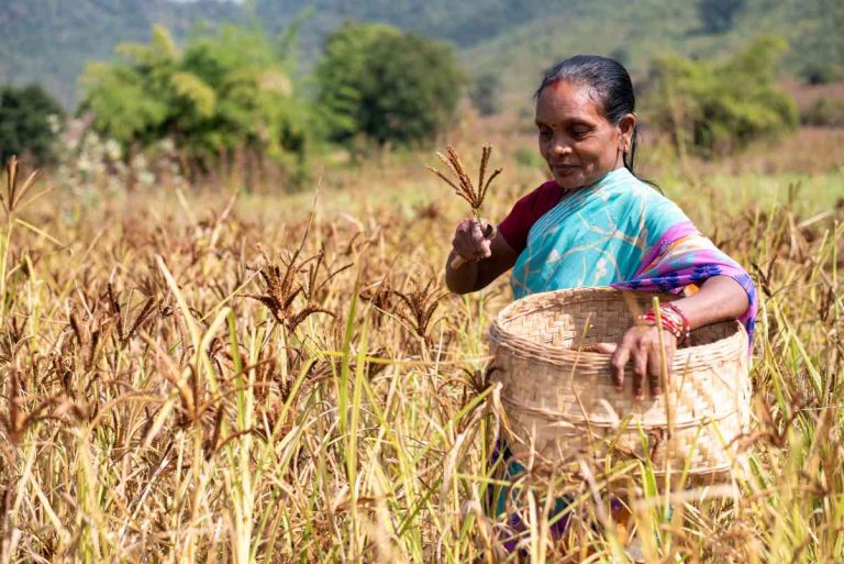 Understanding farmer protests | IDR