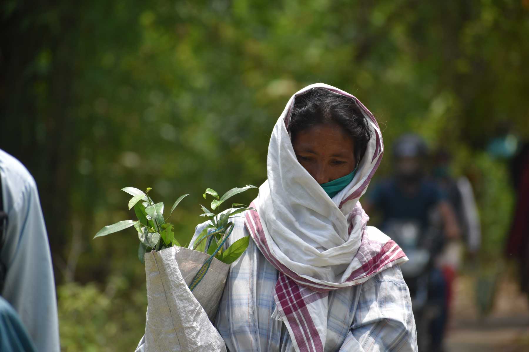 Woman with a sapling_Balipara Foundation