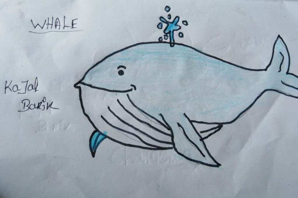 Drawing of a whale by Kajal