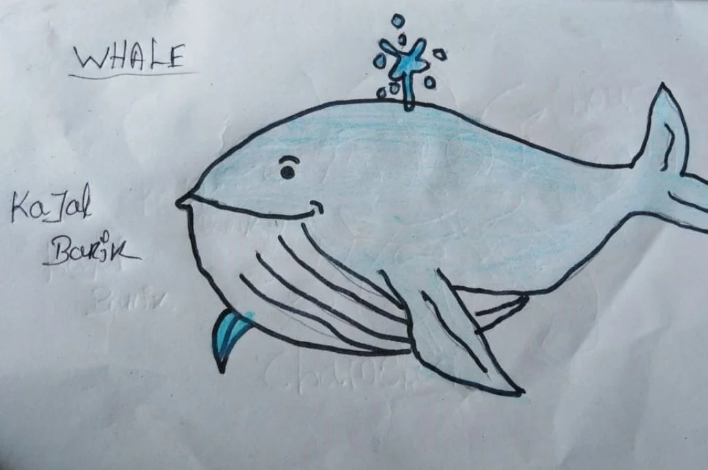 A whale drawn by Kajal during her learning session