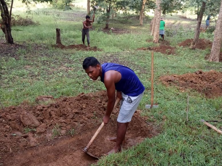 Jadupati working on the field-NREGA