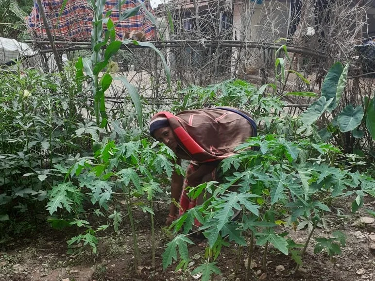 Kokila Devi attending to some plants-adivasi leader