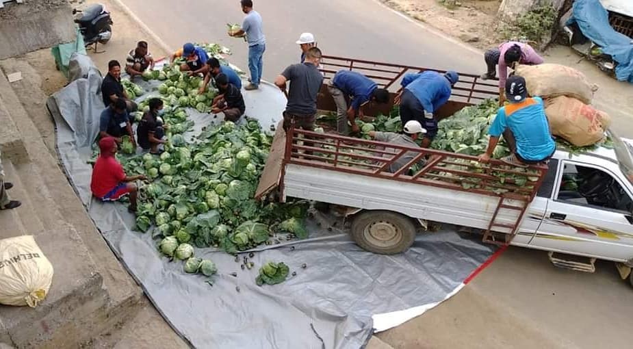 Vegetables being donated free to people who need them in Mizoram