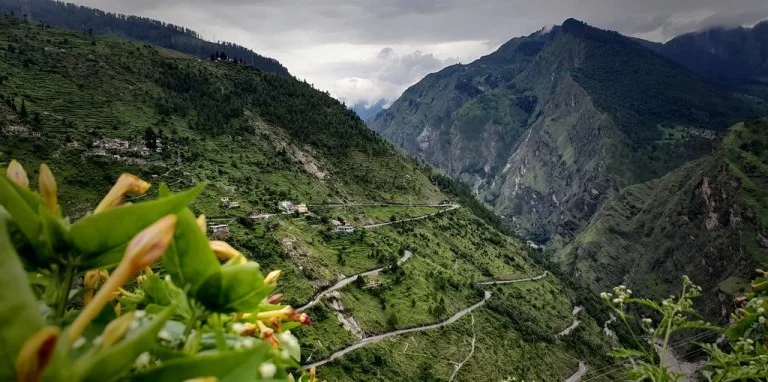 himalaya biodiversity-mountains