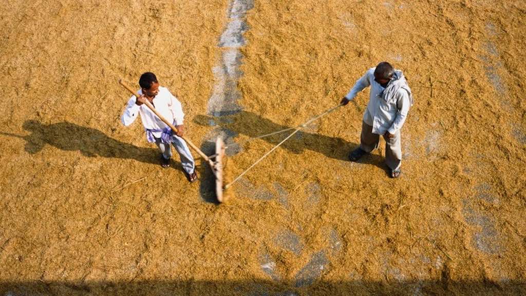 two men working together in the field-philanthropy