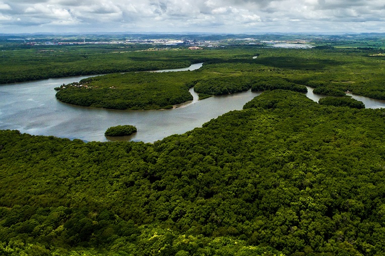 nature and wellbeing - A picture of a forest and a river