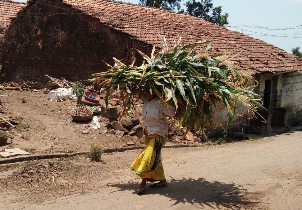 Women carrying firewood labour