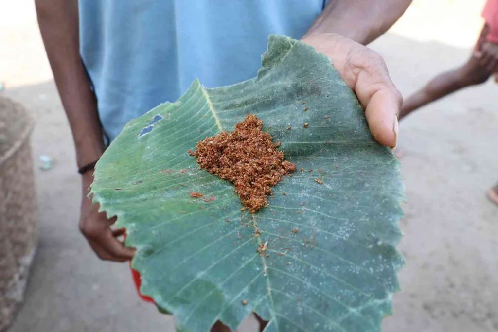 A person holding a big green leaf with red chutney-ant chutney
