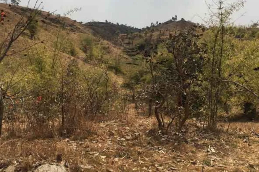 pastureland with greenery and brown arid land_common lands