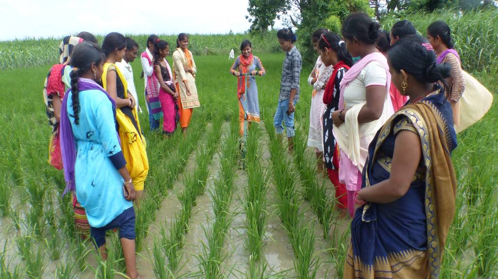 young women being trained in a field-rural youth agriculture