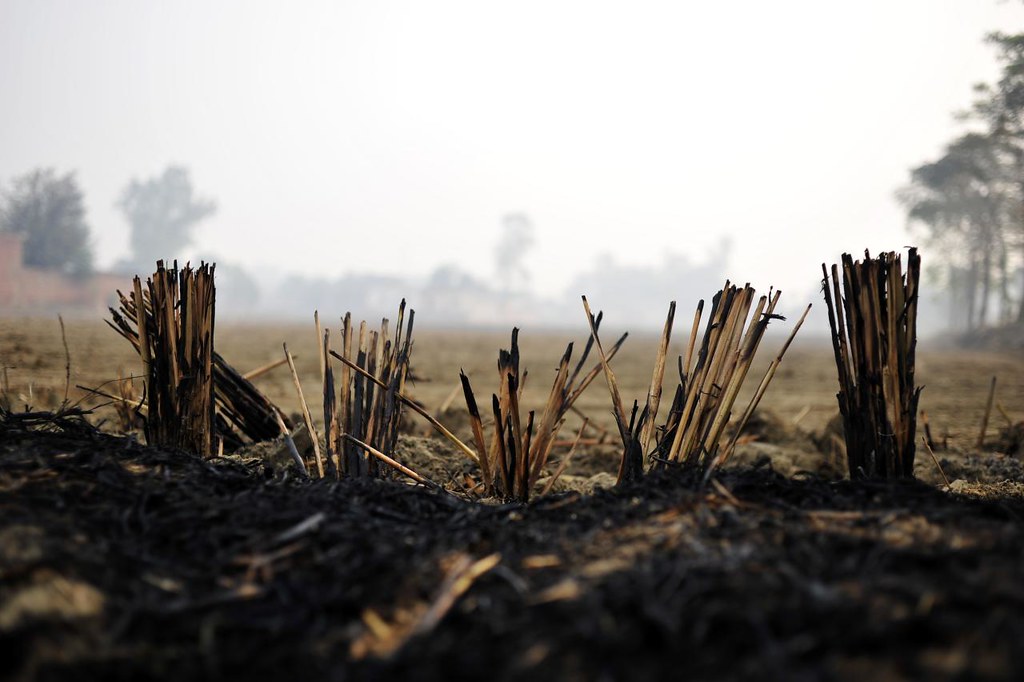 Reducing air pollution due to stubble burning in Northwest India