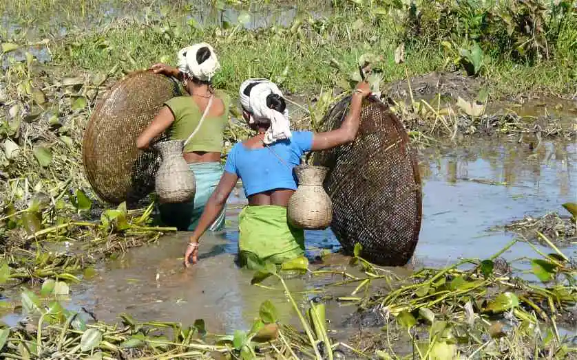 fisherwomen in Assam_impact of climate change
