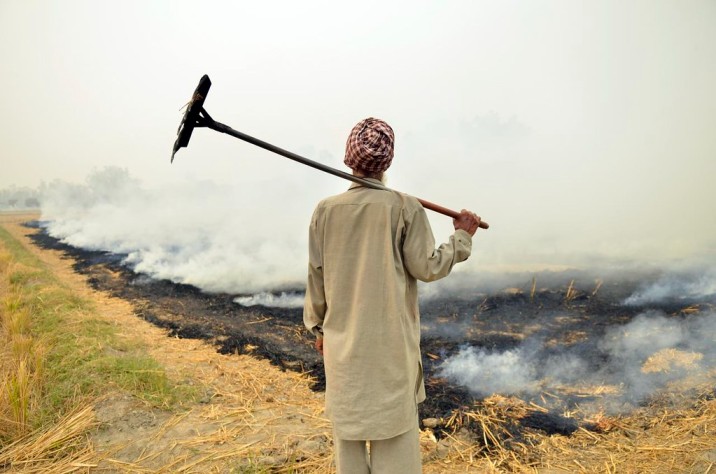 farmer standing with his back to field_air pollution stubble burning