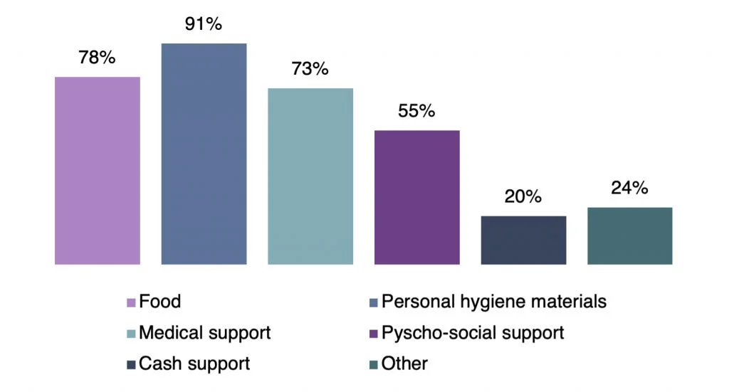 bar graph indicating the types of support provided by civil society organisations-civil society organisations