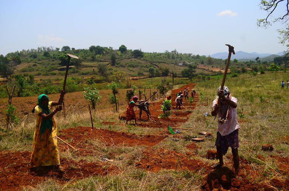 people working on a piece of land with digging and ploughing tools in Terangasil, Odisha-NREGA in Odisha