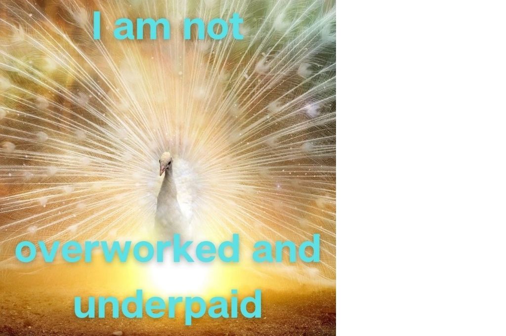 a white peacock with the text 'i am not overworked and underpaid' in blue-affirmations
