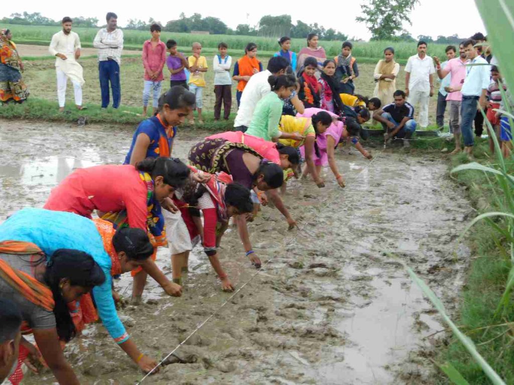 Agricultural-frontline-workers-conduct-an-onsite-demonstration-for-farmers_Hindustan-Unilever-Foundation-marketing principles rural communities
