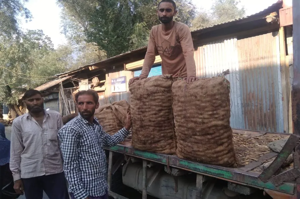 The image shows two men standing next to a truck. A third man is standing in the bed of the truck. In front of him, there are two burlap sacks filled with walnuts. There are a few more sacks in the background._Walnut farming
