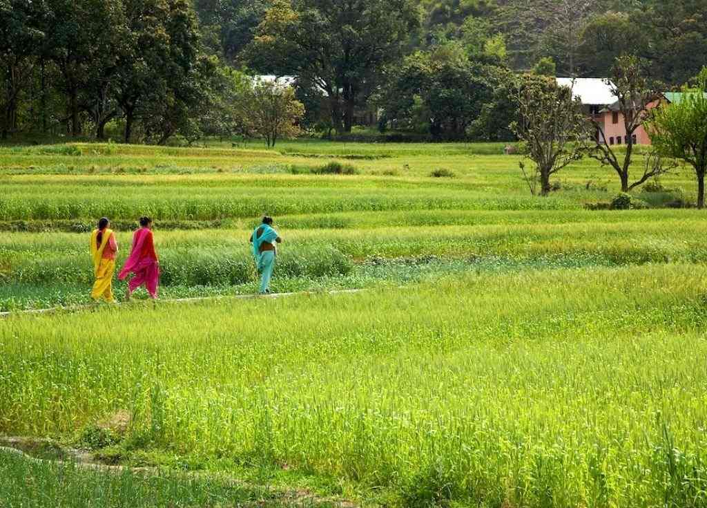 Three women walking in a field. The anti-trafficking ecosystem fails to account for the mental health and well-being of survivors.