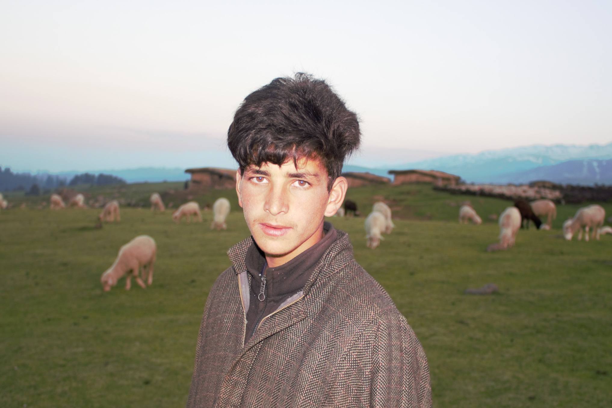 shepherd boy standing in a meadow - Forest Rights Act