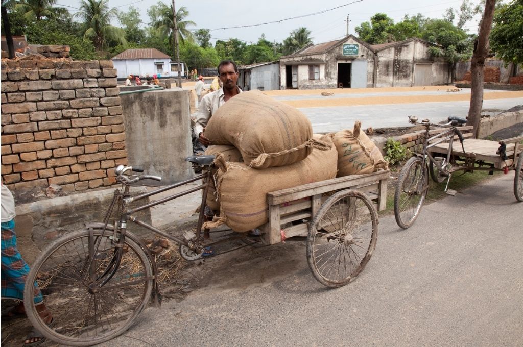 Labourer standing behind a cart with sacks on it-migrant workers