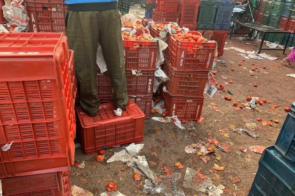 Tomatoes lost during sales-value chain