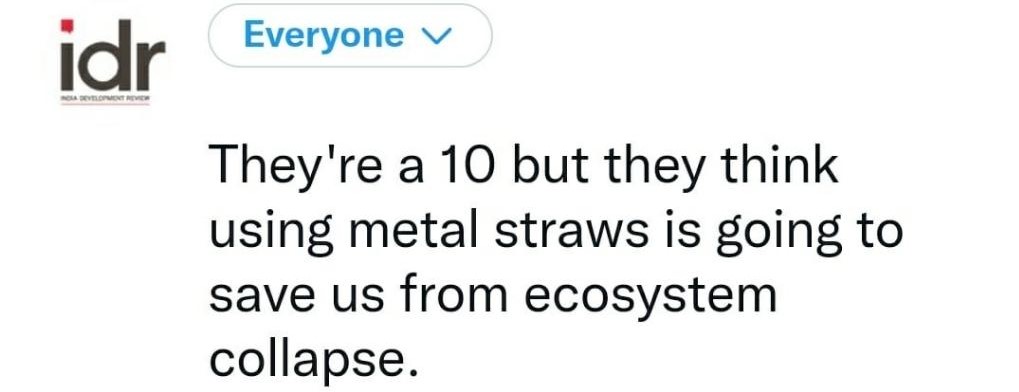 Text that says "they're a 10 but they think using metal straws is going to save us from ecosystem collapse"