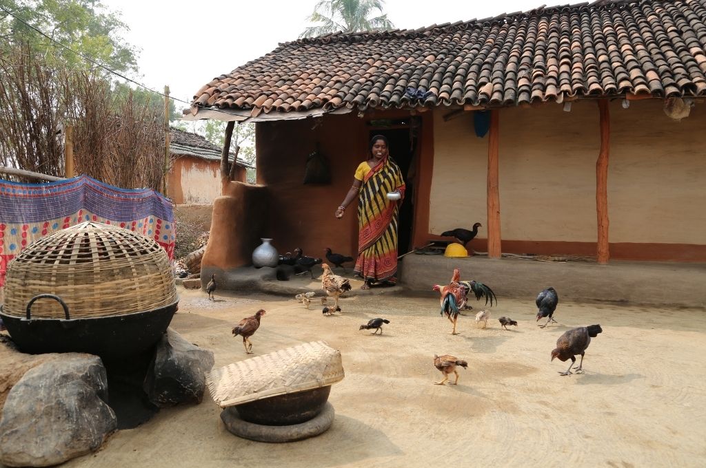 A woman in a saree stranding outside her house with chickens roaming around her_livestock livelihood