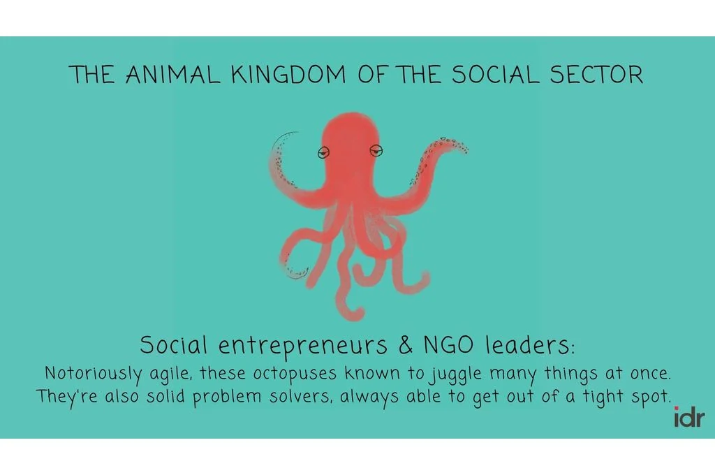 Illustration that indicates that social entrepreneurs and NGO leaders are the octopuses of the social sector because they are known to juggle many things at once and are solid problem solvers-nonprofit humour