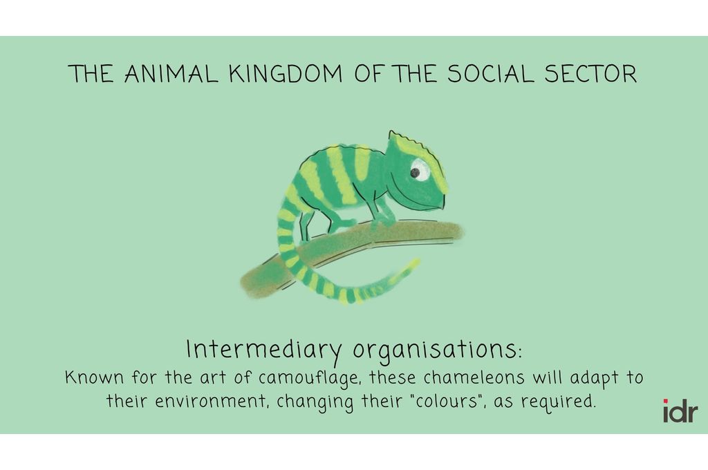 Illustration that indicates that intermediary organisations are the chameleons of the social sector because they are known to adapt to their environment and change their colours as required-nonprofit humour