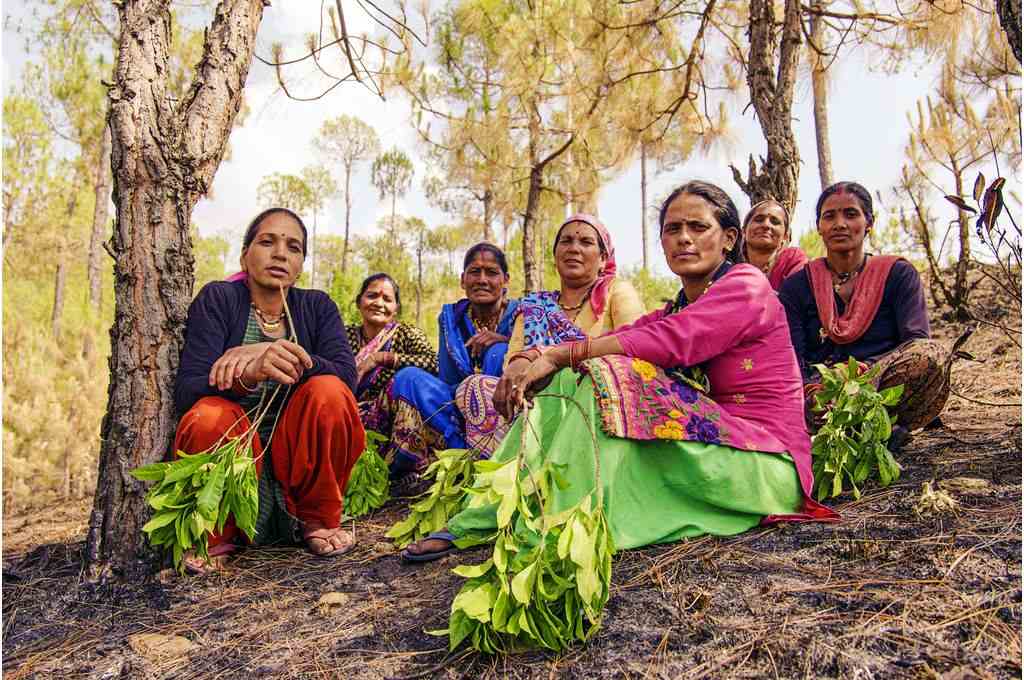 Members of a women’s collective gather around a patch of forest scorched by one of the several wildfires that has ravaged Sitlakhet in Uttarakhand’s Almora district-climate