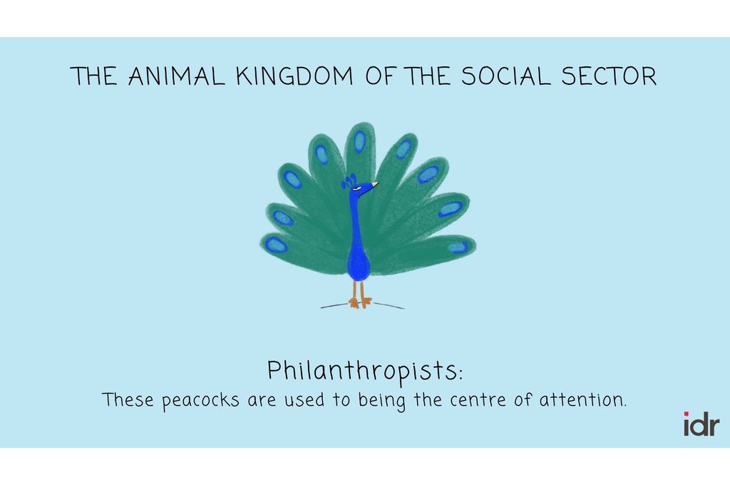 Illustration that indicates that philanthropists are the peacocks of the social sector because they are used to being the centre of attention-nonprofit humour