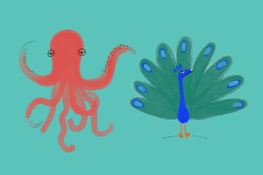 Image depicting an octopus on the left and a peacock on the right-nonprofit humour