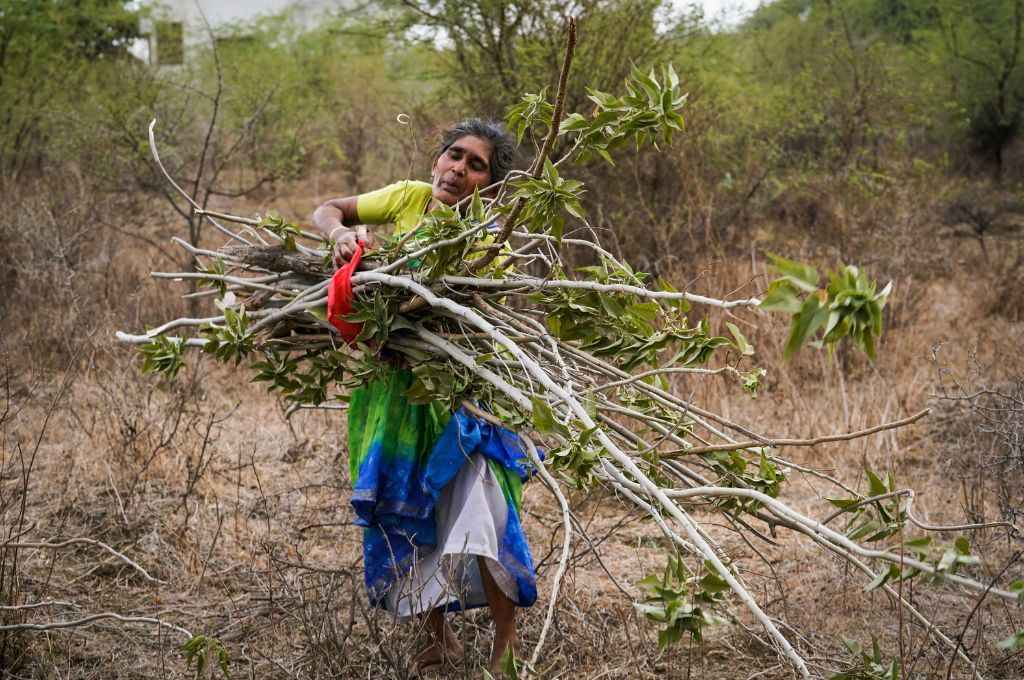 A woman carrying firewood from a forest_air pollution