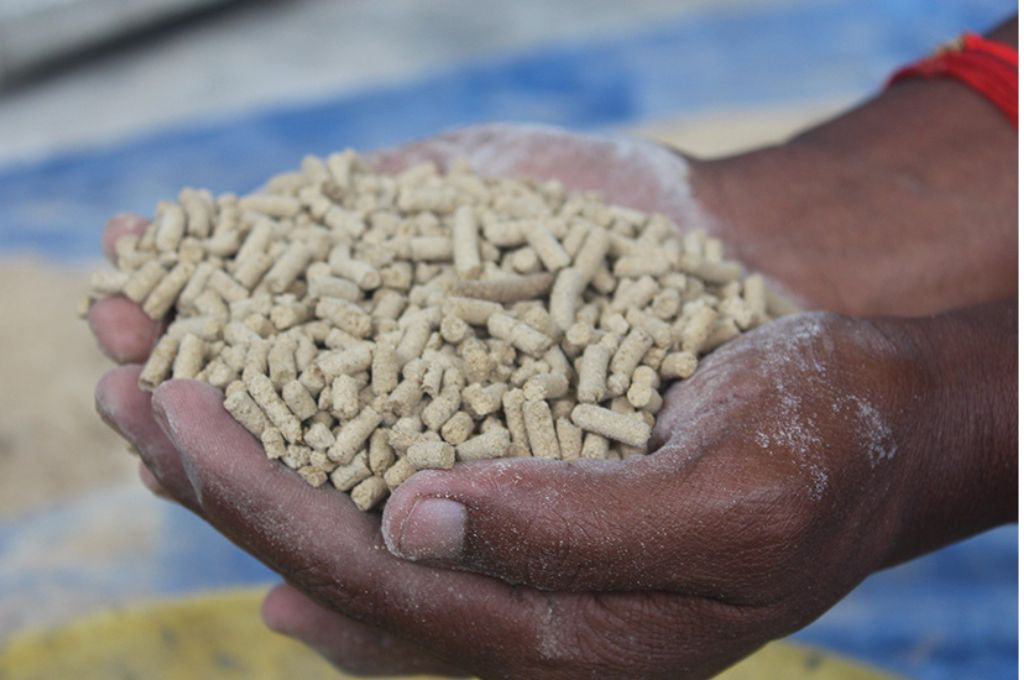 Close-up of fish feed in hands_fish farming
