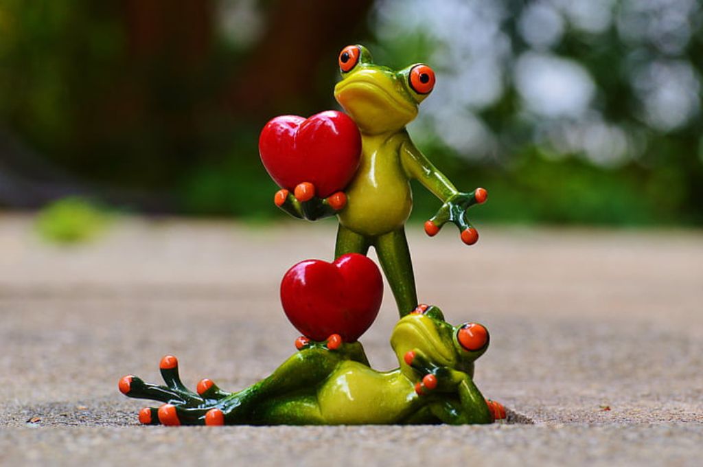 A pair of frogs holding hearts_nonprofit humour